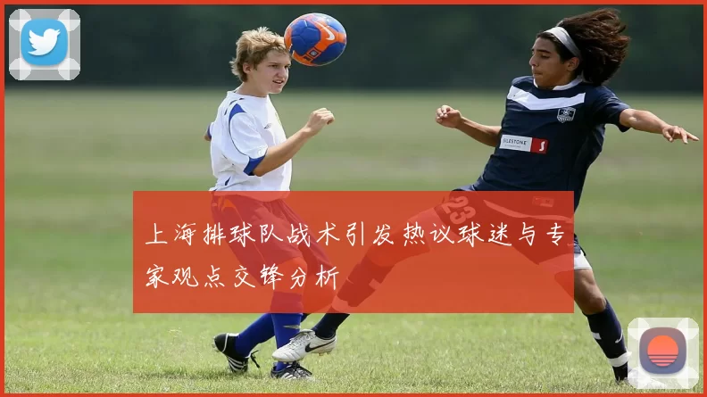 上海排球队战术引发热议球迷与专家观点交锋分析
