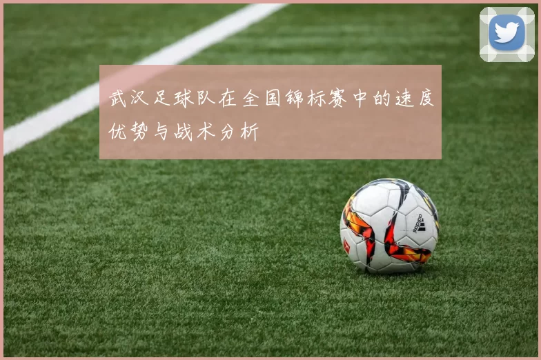 武汉足球队在全国锦标赛中的速度优势与战术分析