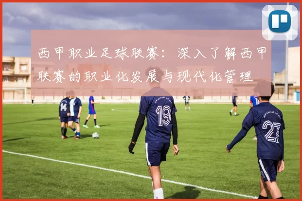 西甲职业足球联赛：深入了解西甲联赛的职业化发展与现代化管理