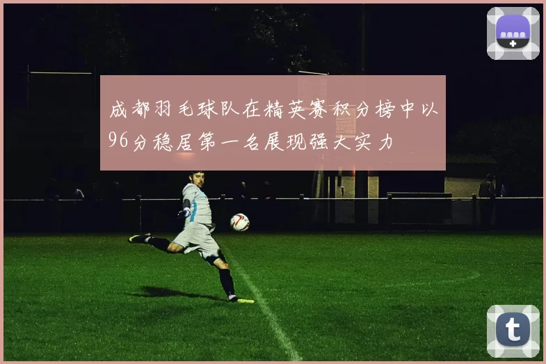 成都羽毛球队在精英赛积分榜中以96分稳居第一名展现强大实力