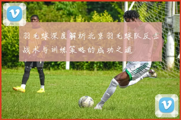 羽毛球深度解析北京羽毛球队反击战术与训练策略的成功之道