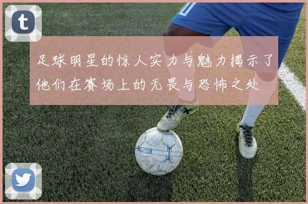 足球明星的惊人实力与魅力揭示了他们在赛场上的无畏与恐怖之处
