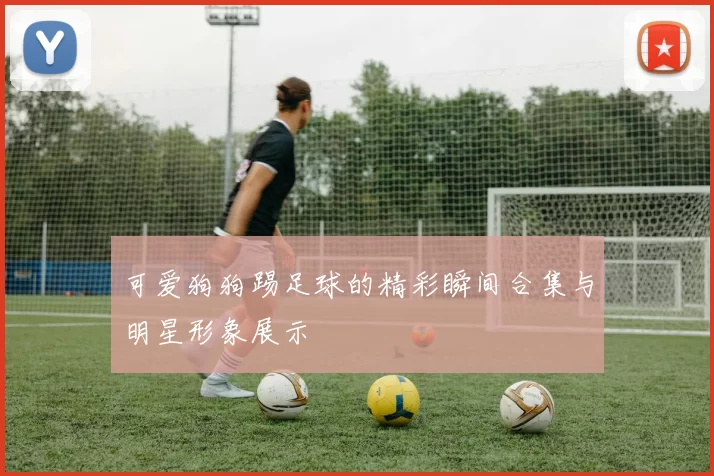 可爱狗狗踢足球的精彩瞬间合集与明星形象展示