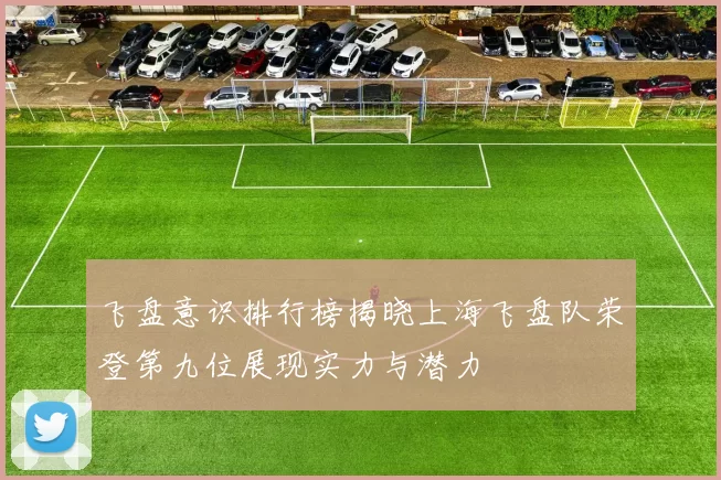 飞盘意识排行榜揭晓上海飞盘队荣登第九位展现实力与潜力