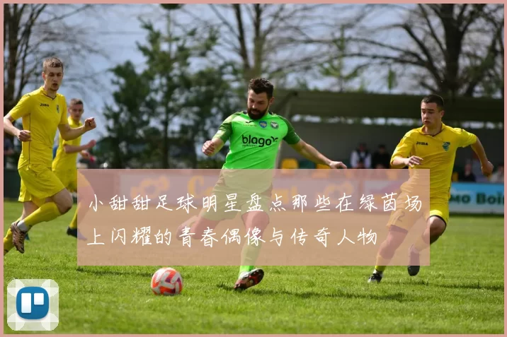 小甜甜足球明星盘点那些在绿茵场上闪耀的青春偶像与传奇人物