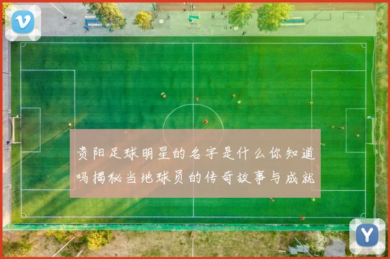 贵阳足球明星的名字是什么你知道吗揭秘当地球员的传奇故事与成就