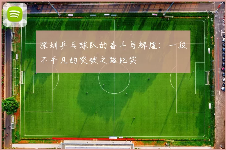 深圳乒乓球队的奋斗与辉煌：一段不平凡的突破之路纪实
