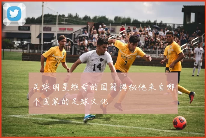 足球明星维奇的国籍揭秘他来自哪个国家的足球文化