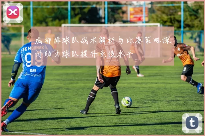 成都排球队战术解析与比赛策略探讨助力球队提升竞技水平