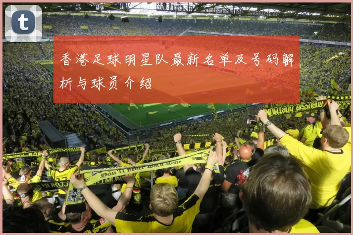 香港足球明星队最新名单及号码解析与球员介绍