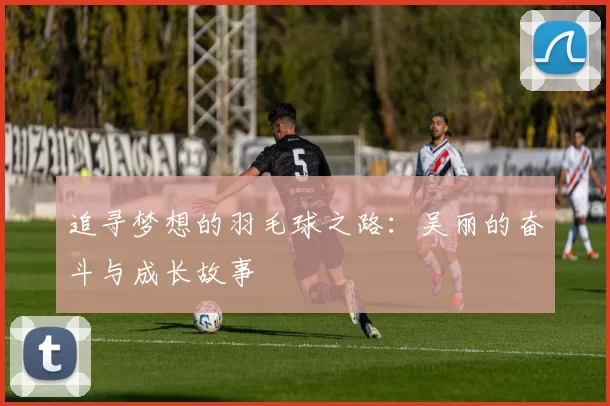 追寻梦想的羽毛球之路：吴丽的奋斗与成长故事