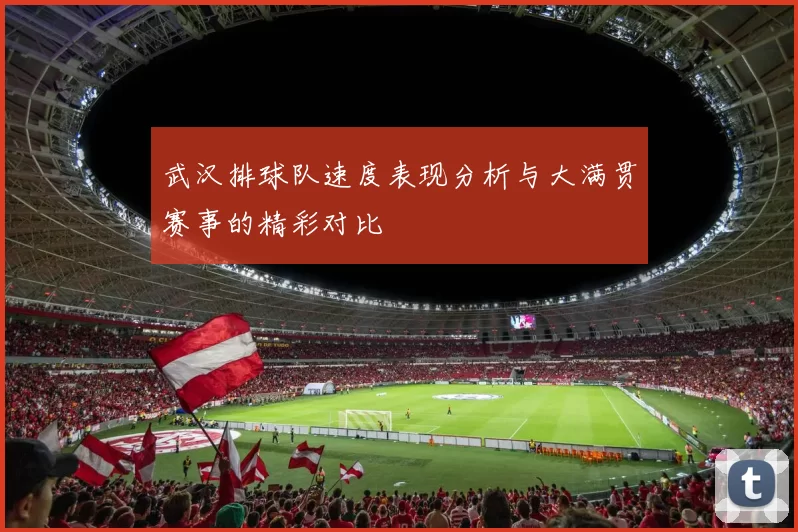 武汉排球队速度表现分析与大满贯赛事的精彩对比