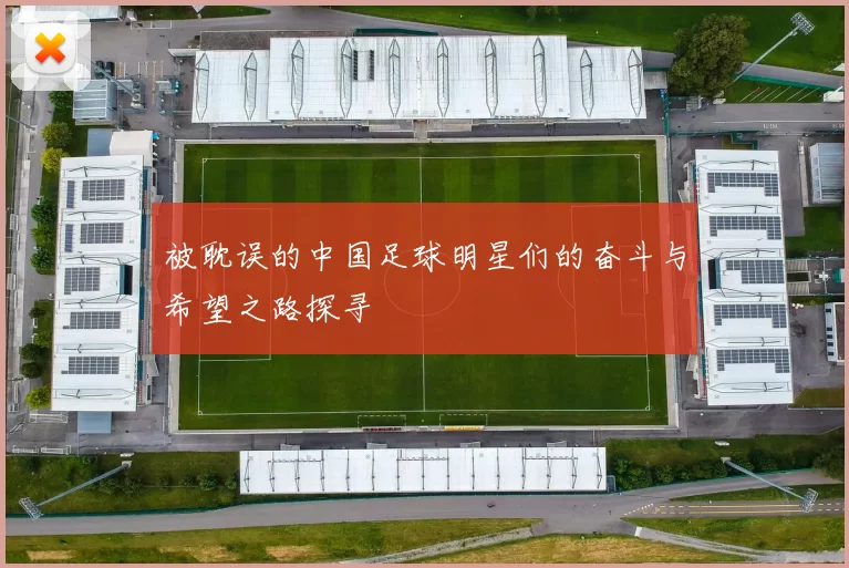 被耽误的中国足球明星们的奋斗与希望之路探寻
