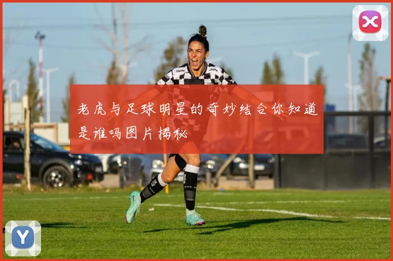 老虎与足球明星的奇妙结合你知道是谁吗图片揭秘