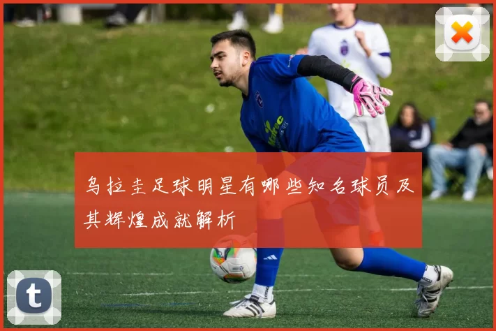 乌拉圭足球明星有哪些知名球员及其辉煌成就解析