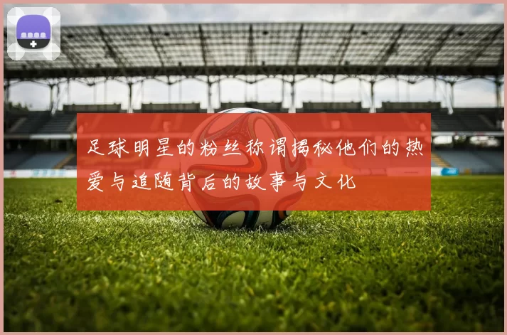 足球明星的粉丝称谓揭秘他们的热爱与追随背后的故事与文化