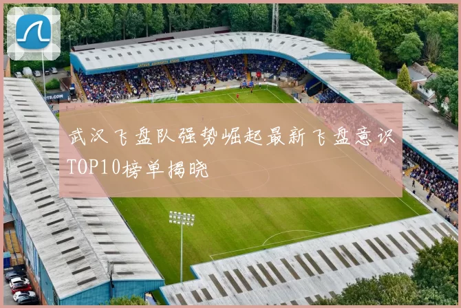 武汉飞盘队强势崛起最新飞盘意识TOP10榜单揭晓
