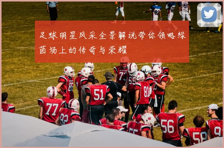 足球明星风采全景解说带你领略绿茵场上的传奇与荣耀