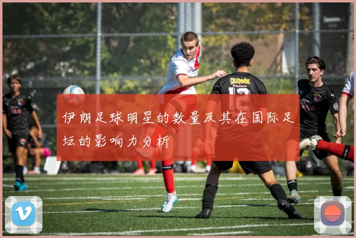 伊朗足球明星的数量及其在国际足坛的影响力分析