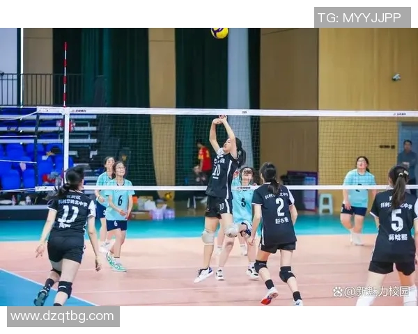 南京排球队荣登排球比赛经验排行榜首位引领全国排球发展新潮流