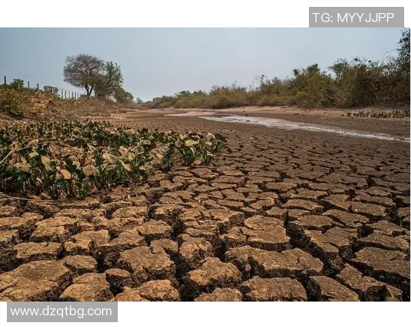 全球气候变化加剧 极端天气频发 影响各地农业生产与人民生活 全球气候变化加剧 极端天气频发 影响各地农业生产与人民生活